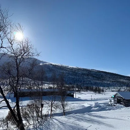 Holiday home Nedre Flaata Seter Nordstebo